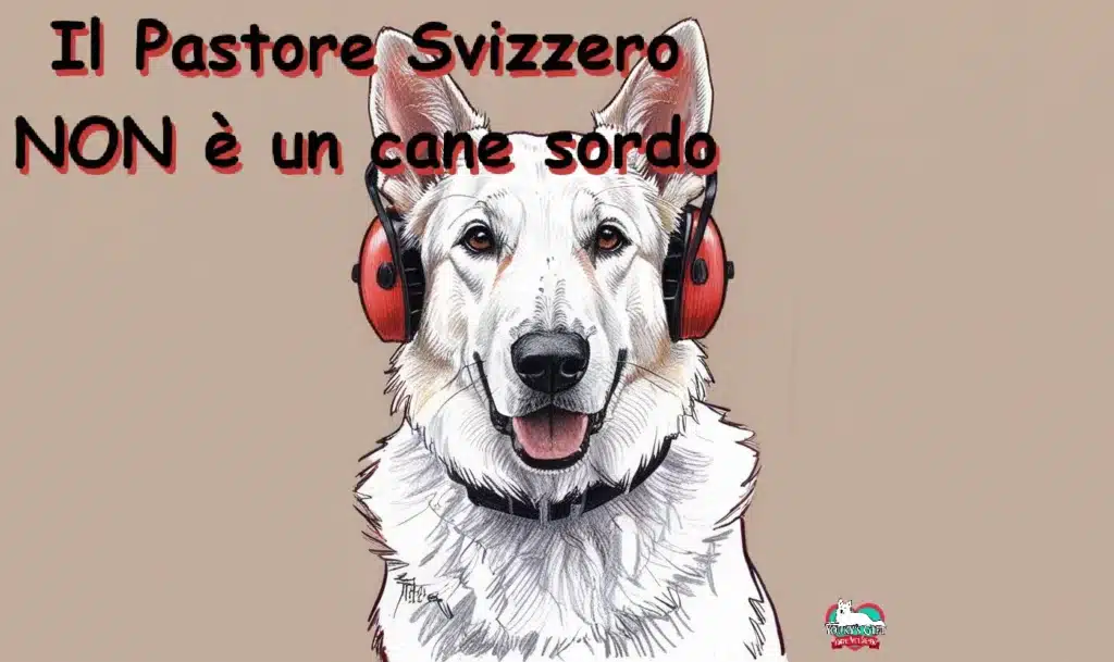 non è un cane sordo