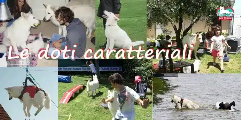 doti-caratteriali evdz