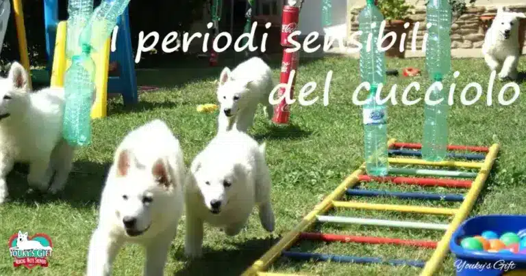 periodi-sensibili evdz