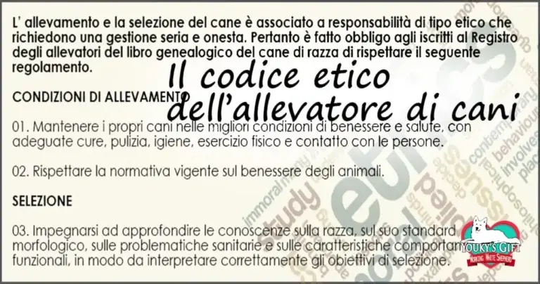 codice-etico evdz