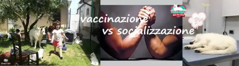 vaccinazione o socializzazione evdz