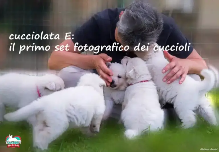 E-litter-set-fotografico evdz