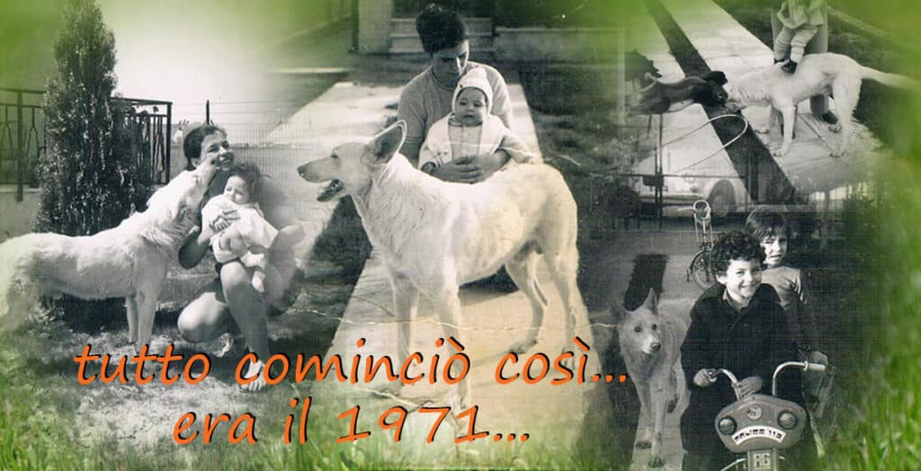 era il 1971