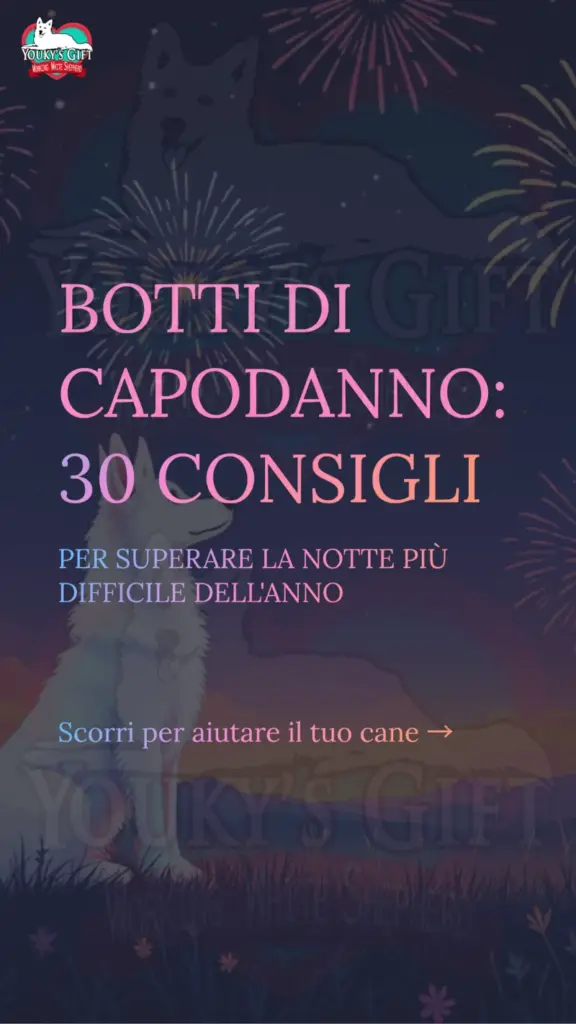 botti di capodanno slide 1
