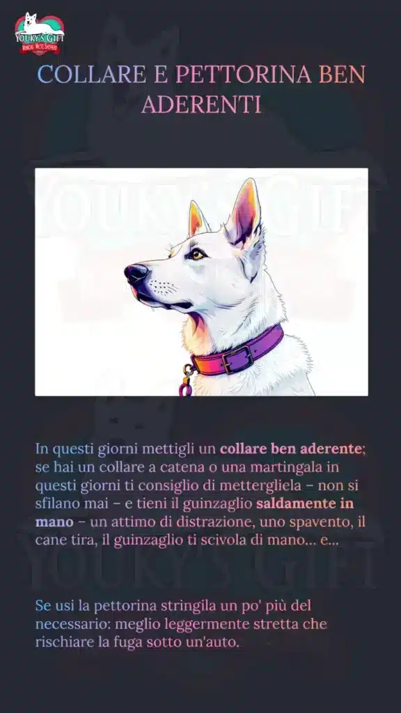 botti di capodanno slide 11