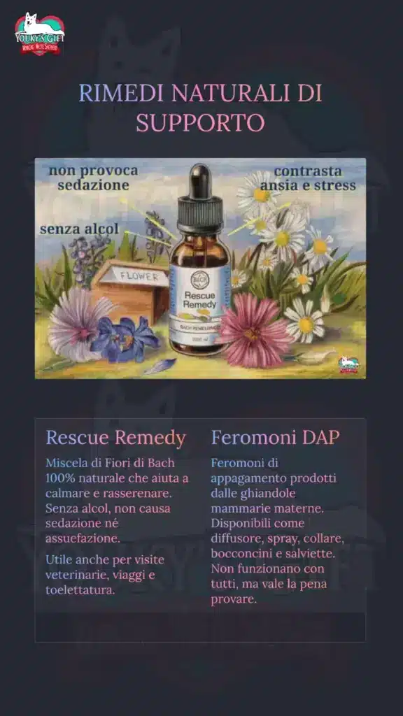 botti di capodanno slide 12