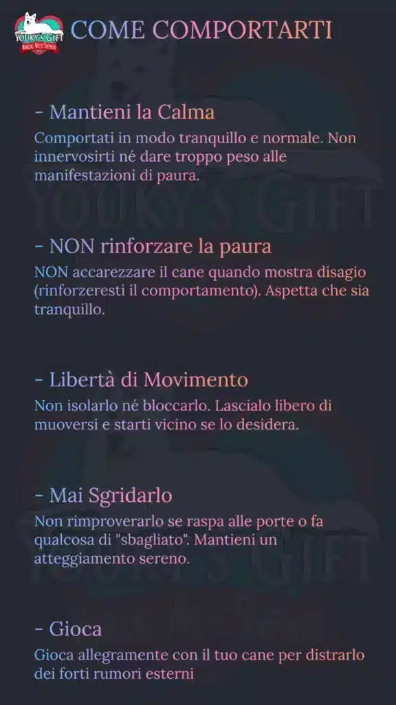 botti di capodanno slide 14