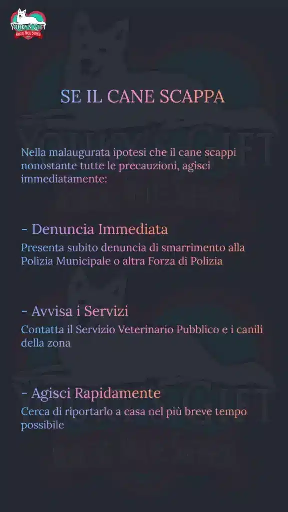 botti di capodanno slide 16