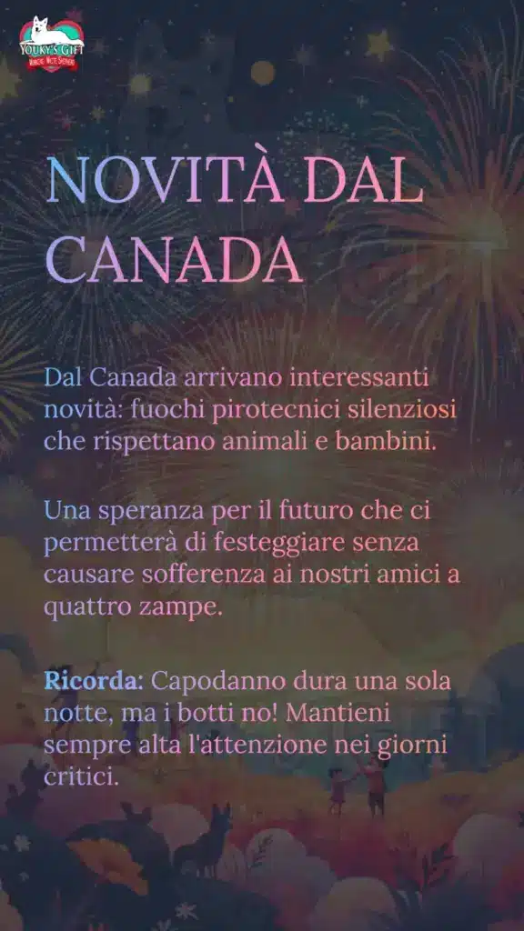 botti di capodanno slide 18