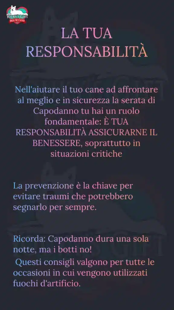 botti di capodanno slide 19