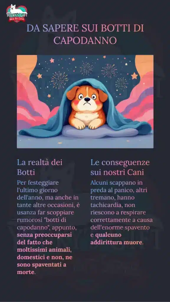 botti di capodanno slide 2