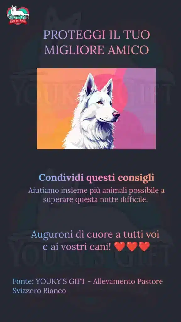 botti di capodanno slide 20