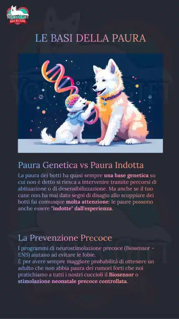 botti di capodanno slide 3