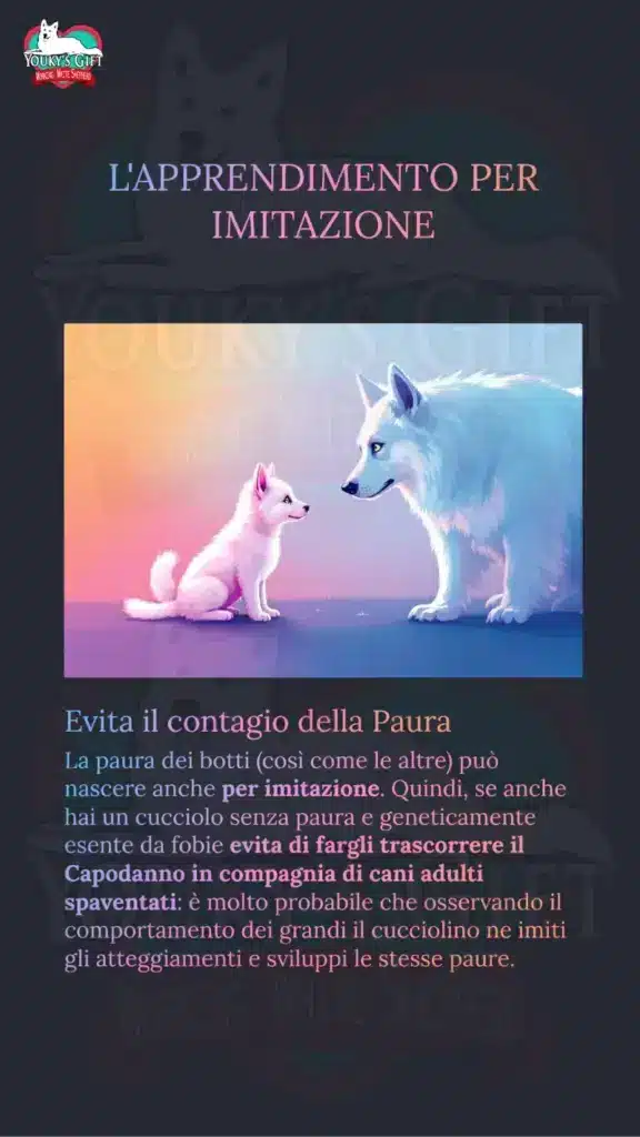 botti di capodanno slide 4