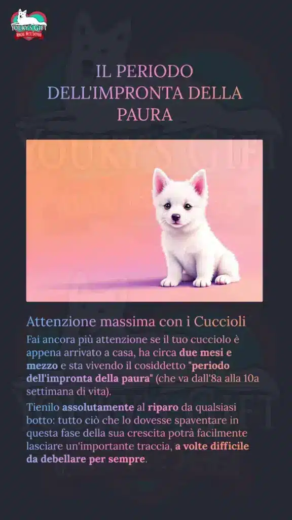 botti di capodanno slide 5