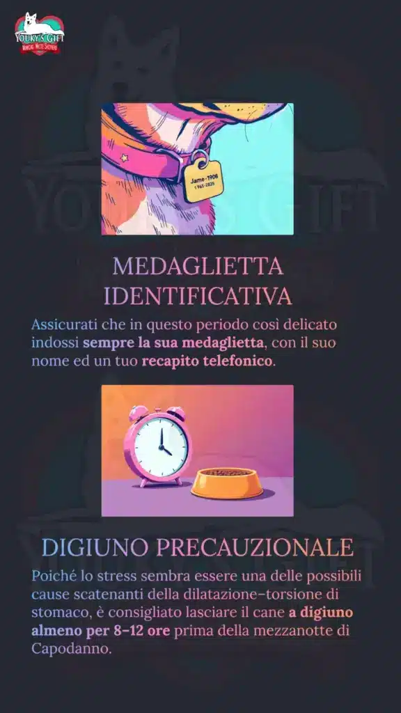 botti di capodanno slide 7