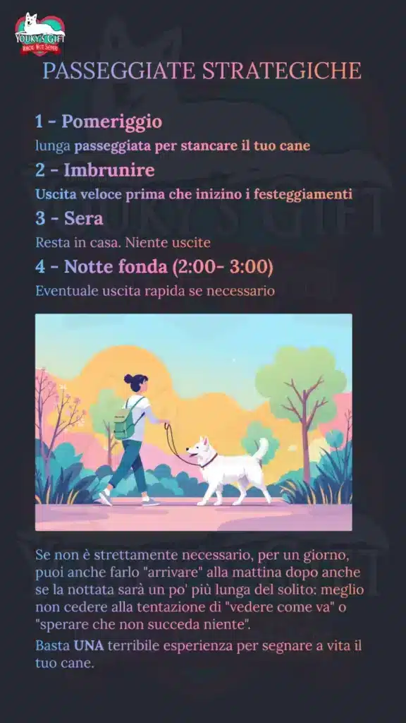 botti di capodanno slide 9