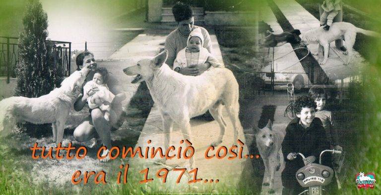 Chi siamo - era il 1971