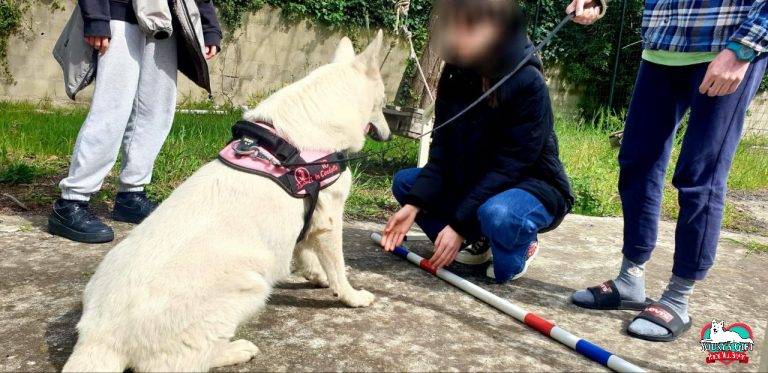 Pet Therapy vacanze con il cane da assistenza