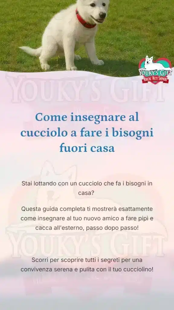 01bisogni fuori casa come insegnare