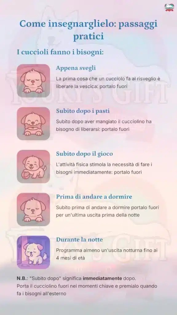 03 bisogni fuori casa Come insegnarglielo