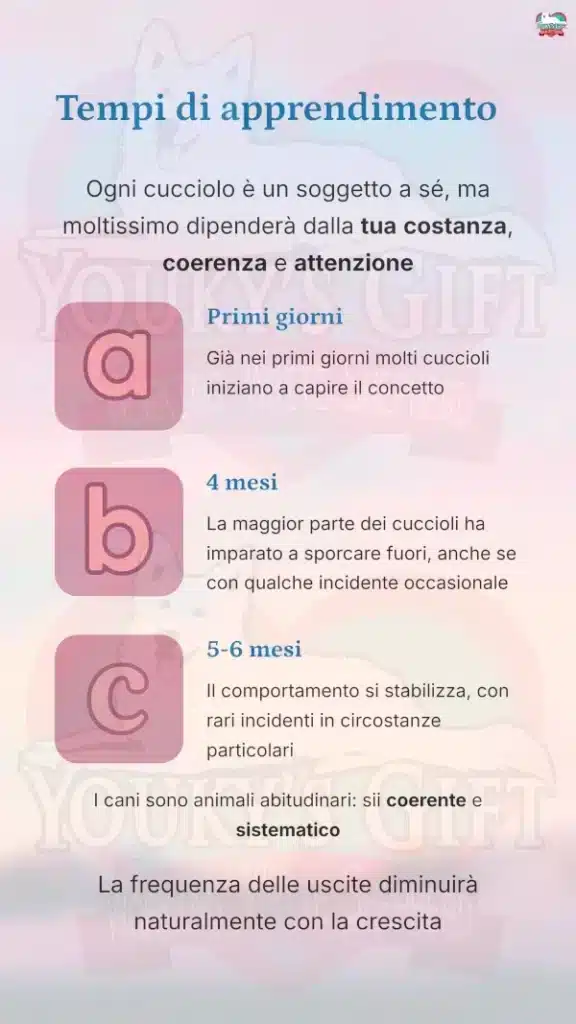 05 bisogni fuori casa Tempi di apprendimento