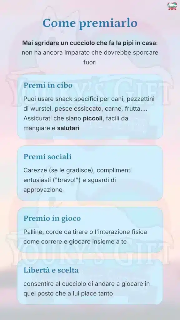 06 bisogni fuori casa Come premiarlo