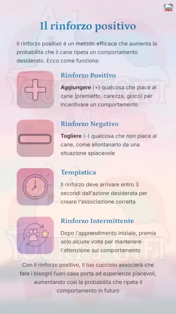 07 bisogni fuori casa Il rinforzo positivo