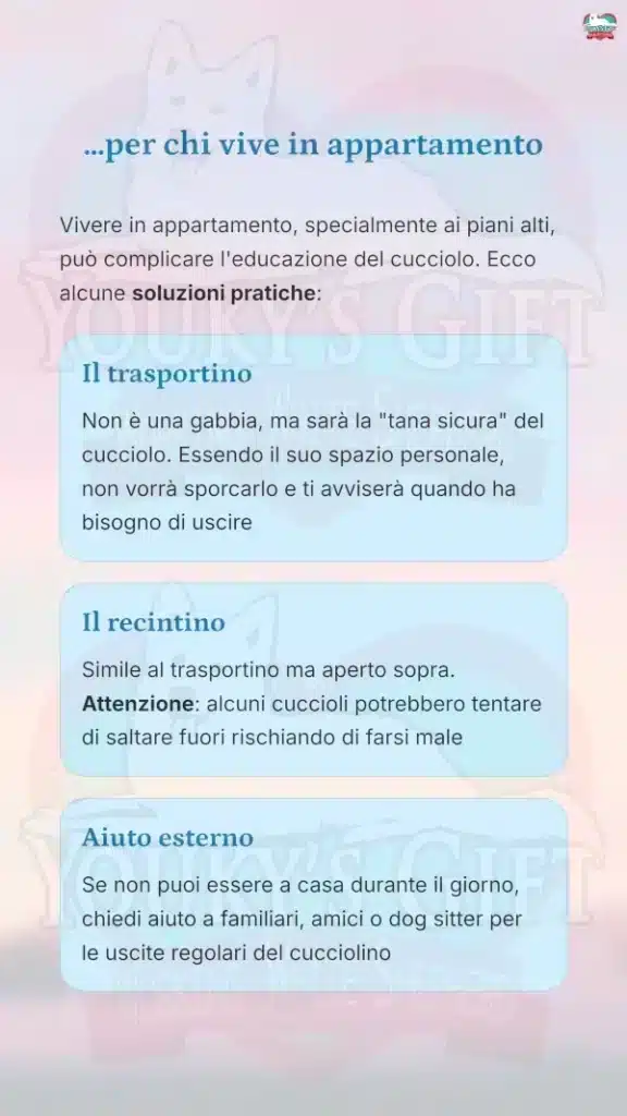 13 bisogni fuori casa per chi vive in appartamento