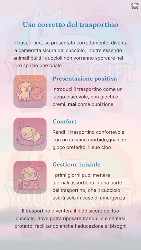 14 bisogni fuori casa Uso corretto del trasportino