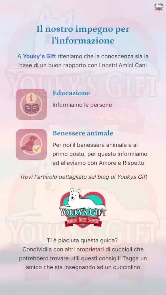 19 bisogni fuori casa Il segreto del successo