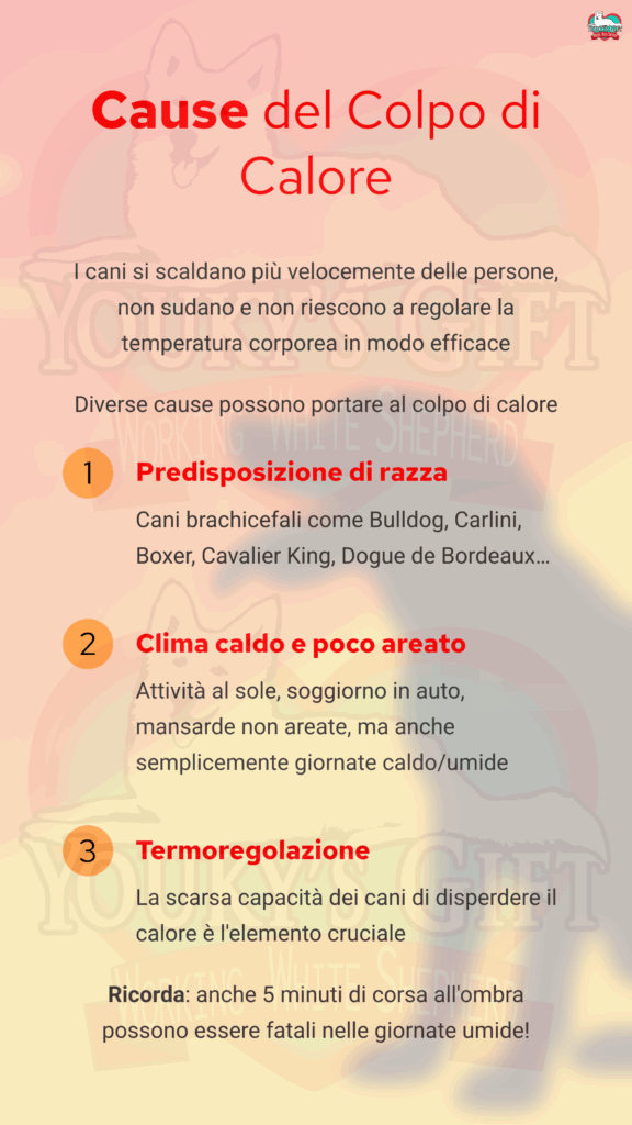 colpo di calore: cause
