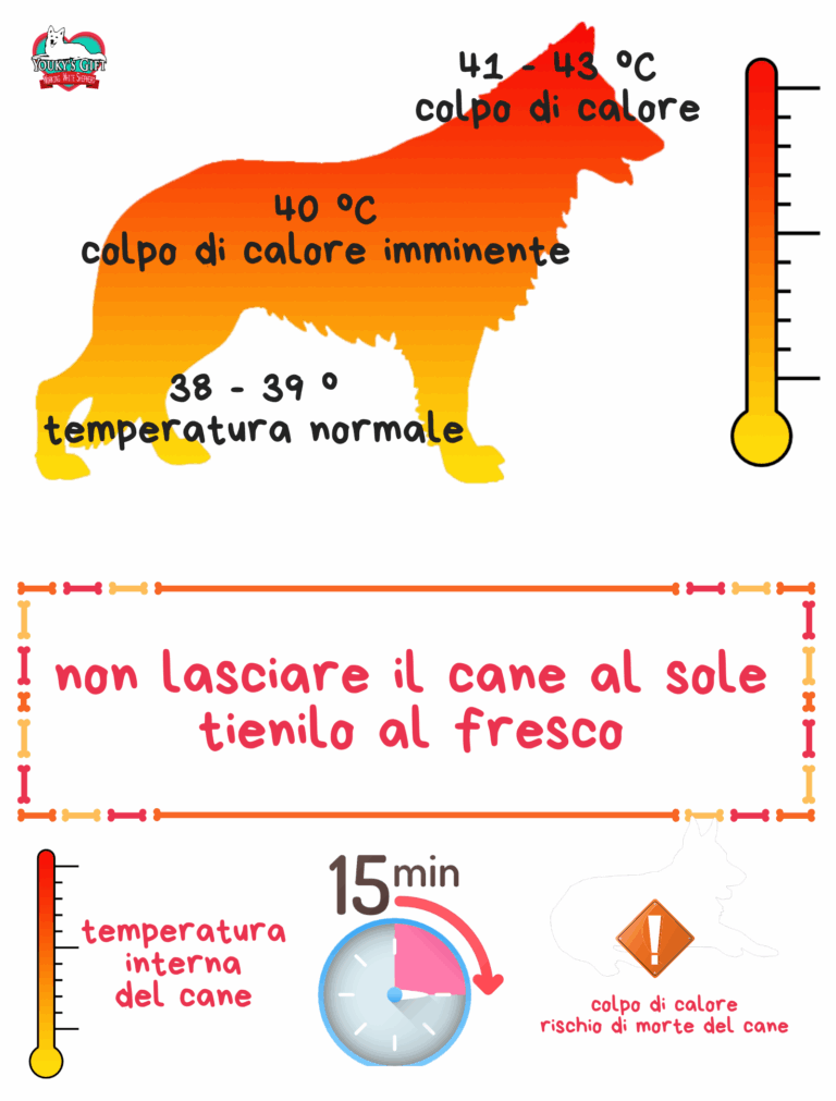 colpo di calore nel cane: che fare