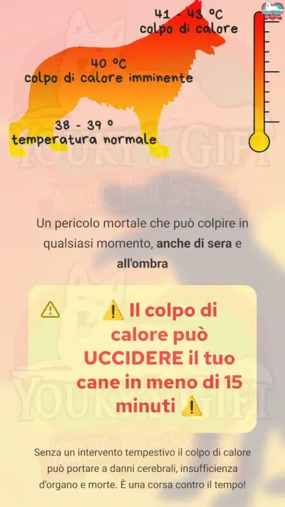 1 colpo di calore cane