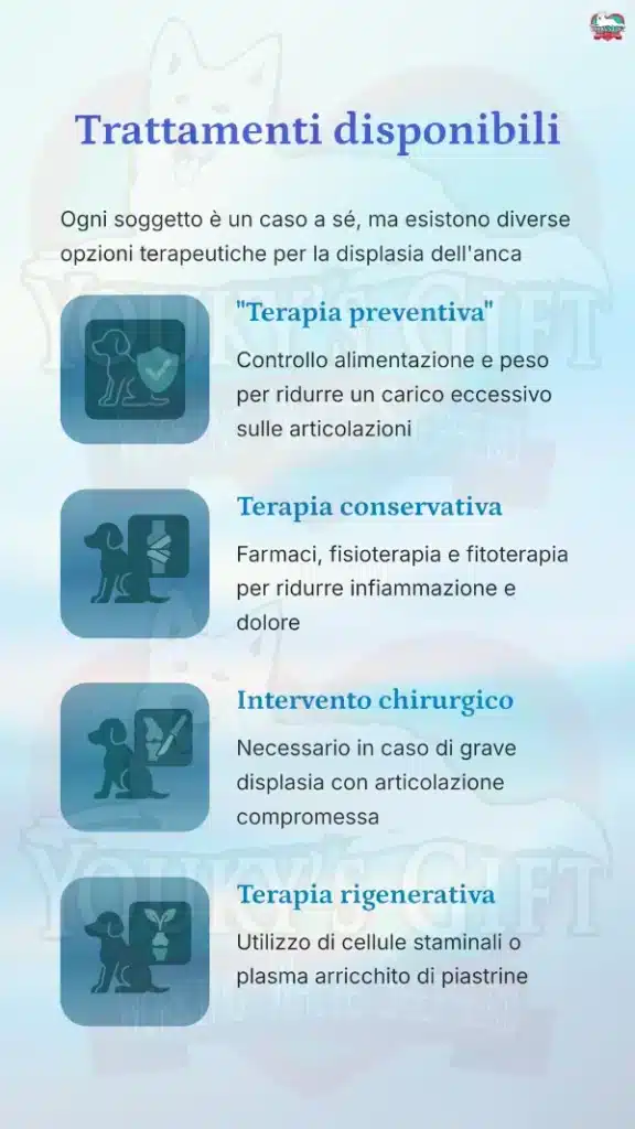 10 displasia anca cane