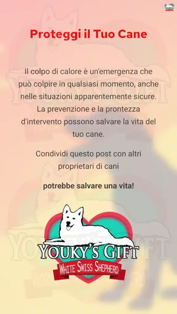 10 colpo di calore cane