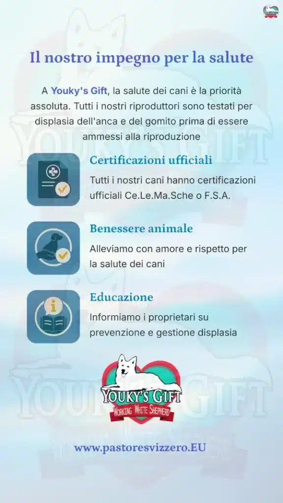 11 displasia anca cane