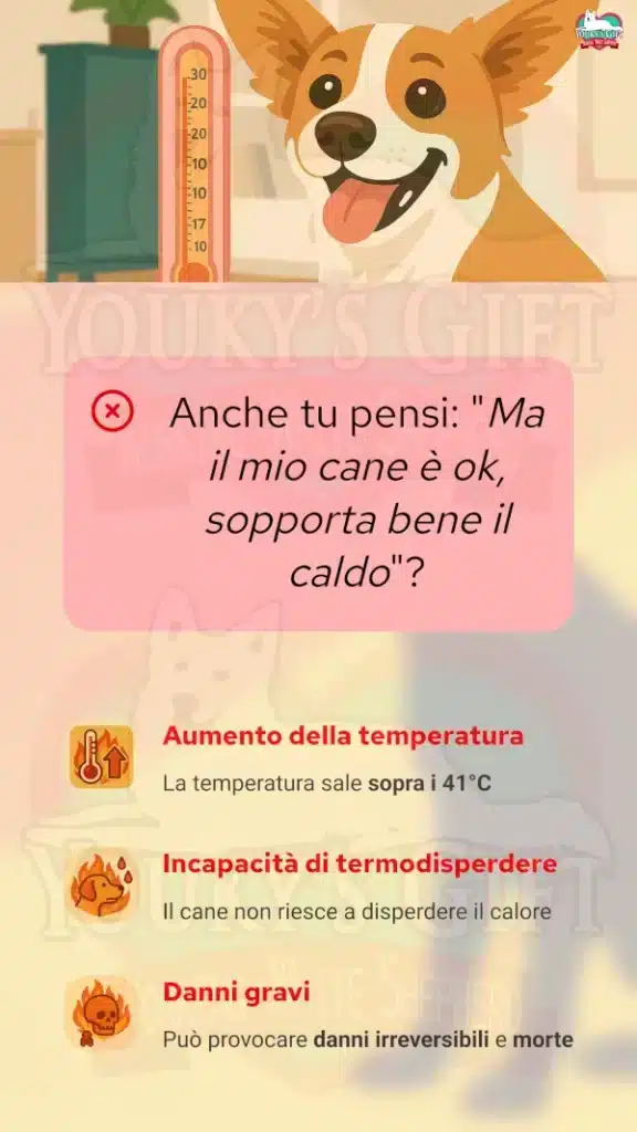 2 colpo di calore cane