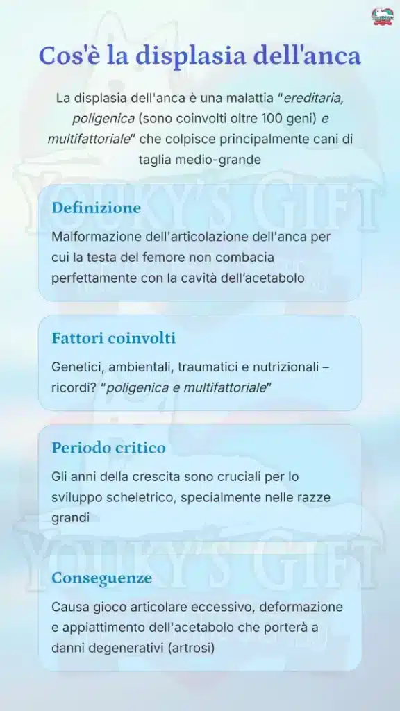 4 displasia anca cane