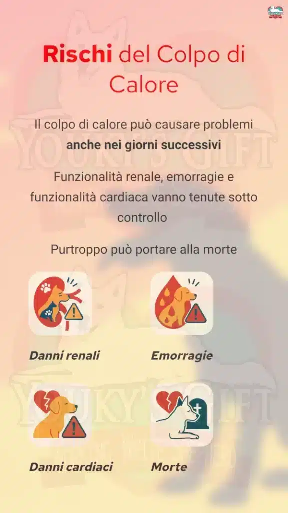 6 colpo di calore cane