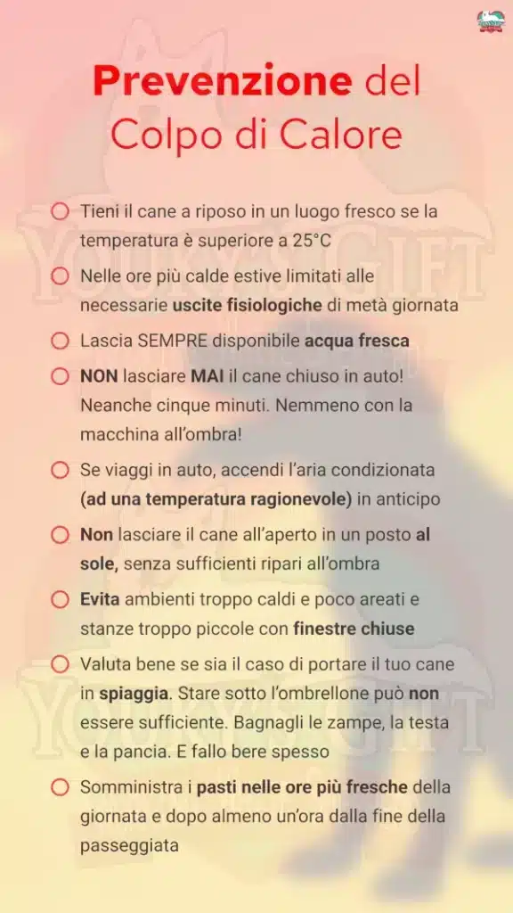 7 colpo di calore cane