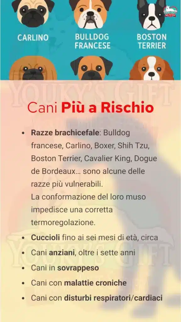 8 colpo di calore cane