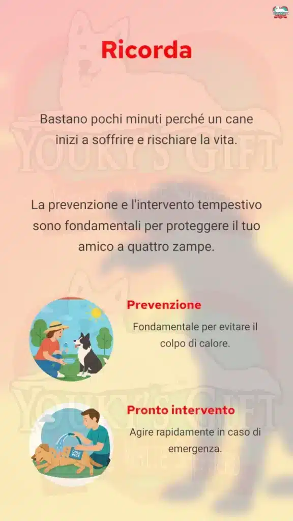 9 colpo di calore cane