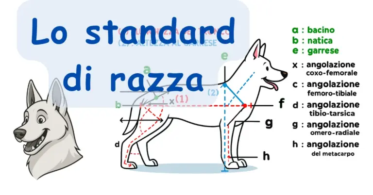 Lo standard