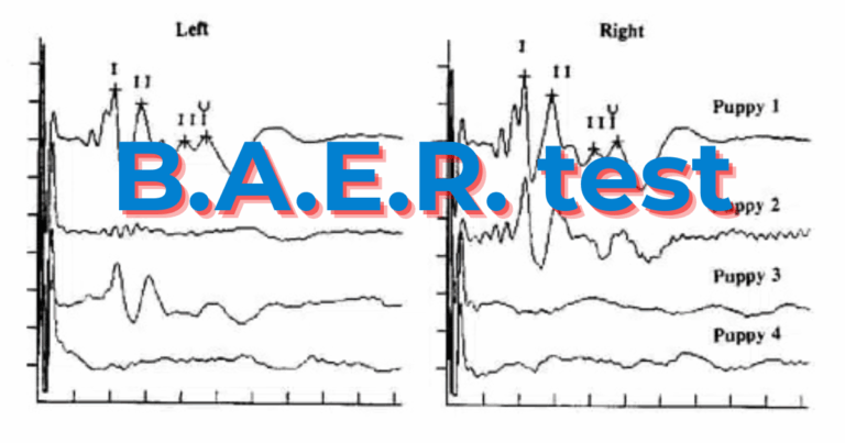 baer test evdz