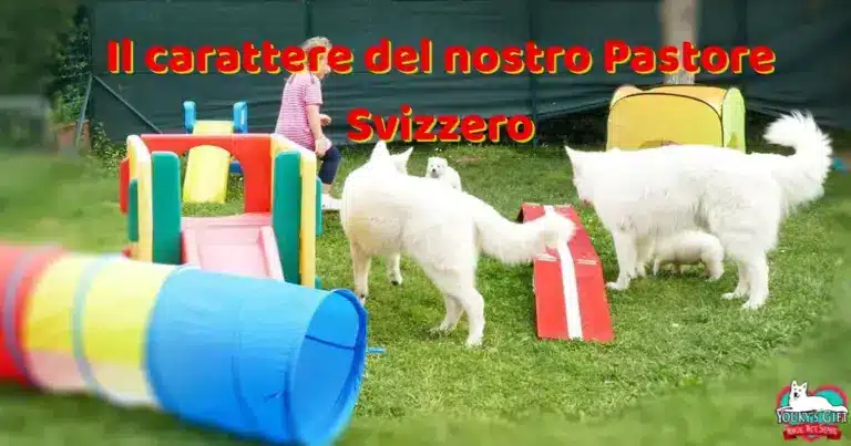 carattere evdz