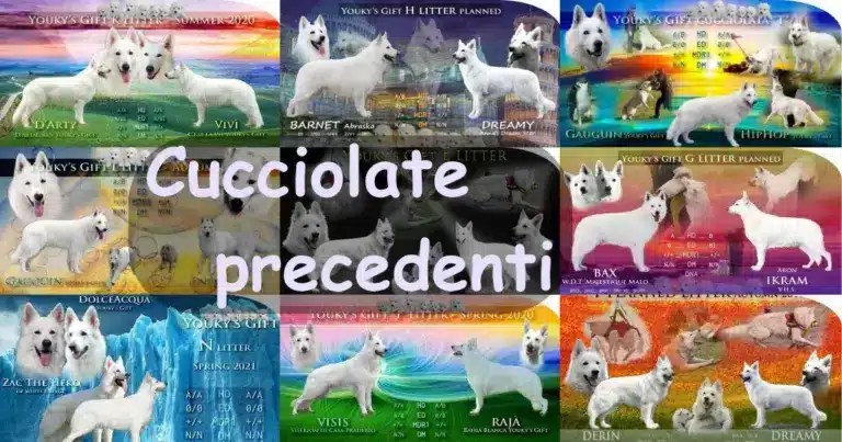 cucciolate precedenti evdz