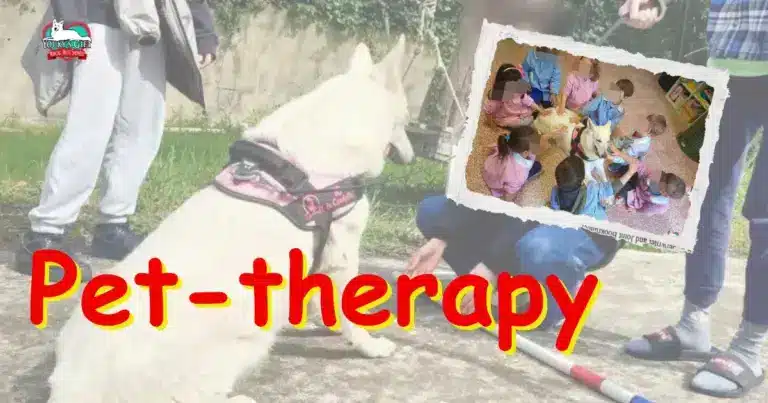 pet-therapy evdz