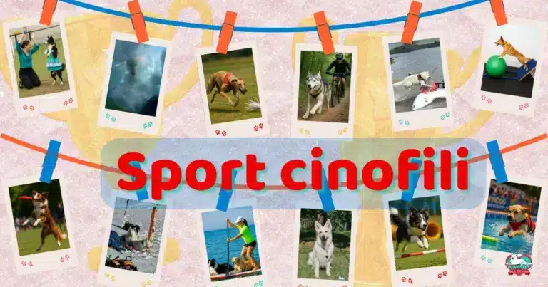 sport cinofili