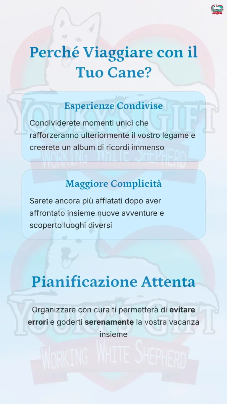 vacanze con il cane 2